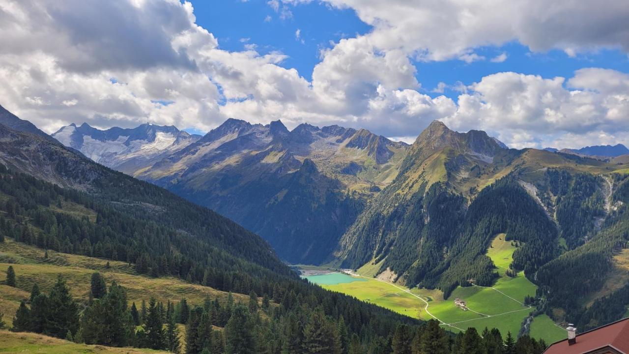 Haus Gruebl Aparthotel Wald im Pinzgau Exteriör bild