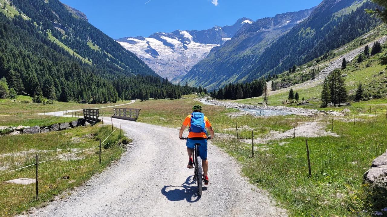 Haus Gruebl Aparthotel Wald im Pinzgau Exteriör bild