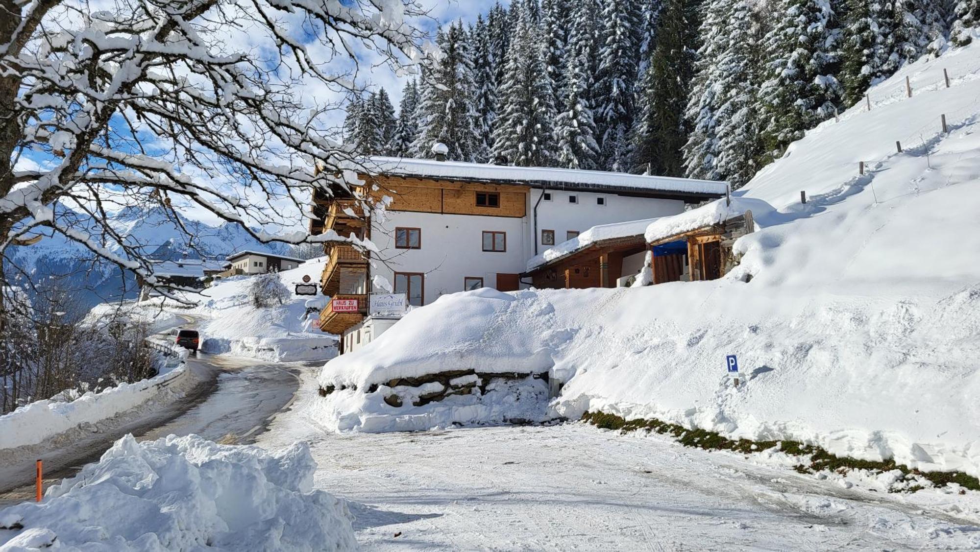 Haus Gruebl Aparthotel Wald im Pinzgau Exteriör bild